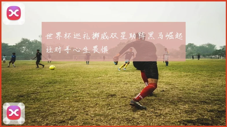世界杯巡礼挪威双星助阵黑马崛起让对手心生畏惧