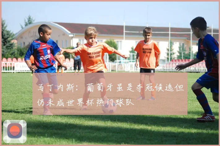马丁内斯：葡萄牙虽是夺冠候选但仍未成世界杯热门球队